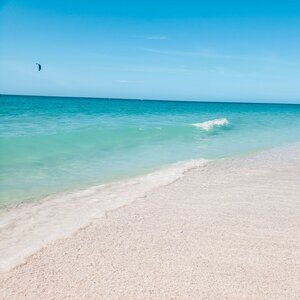 Team Page: Naples (and SW Florida)